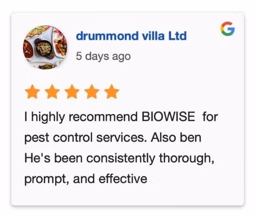 biowise pest control review restaurant