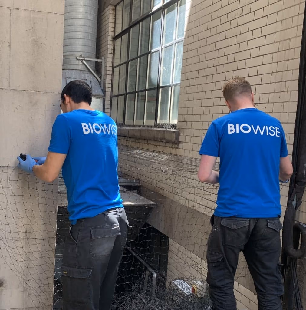 biowise pest control workers