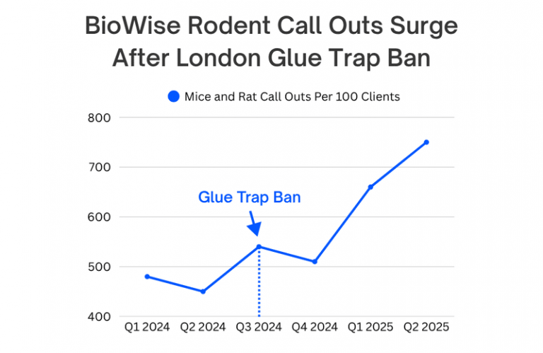 Line graph showing rise in BioWise rodent callouts per 100 clients after London glue trap ban