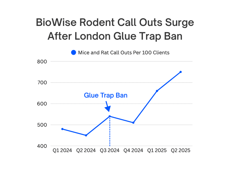 Line graph showing rise in BioWise rodent callouts per 100 clients after London glue trap ban