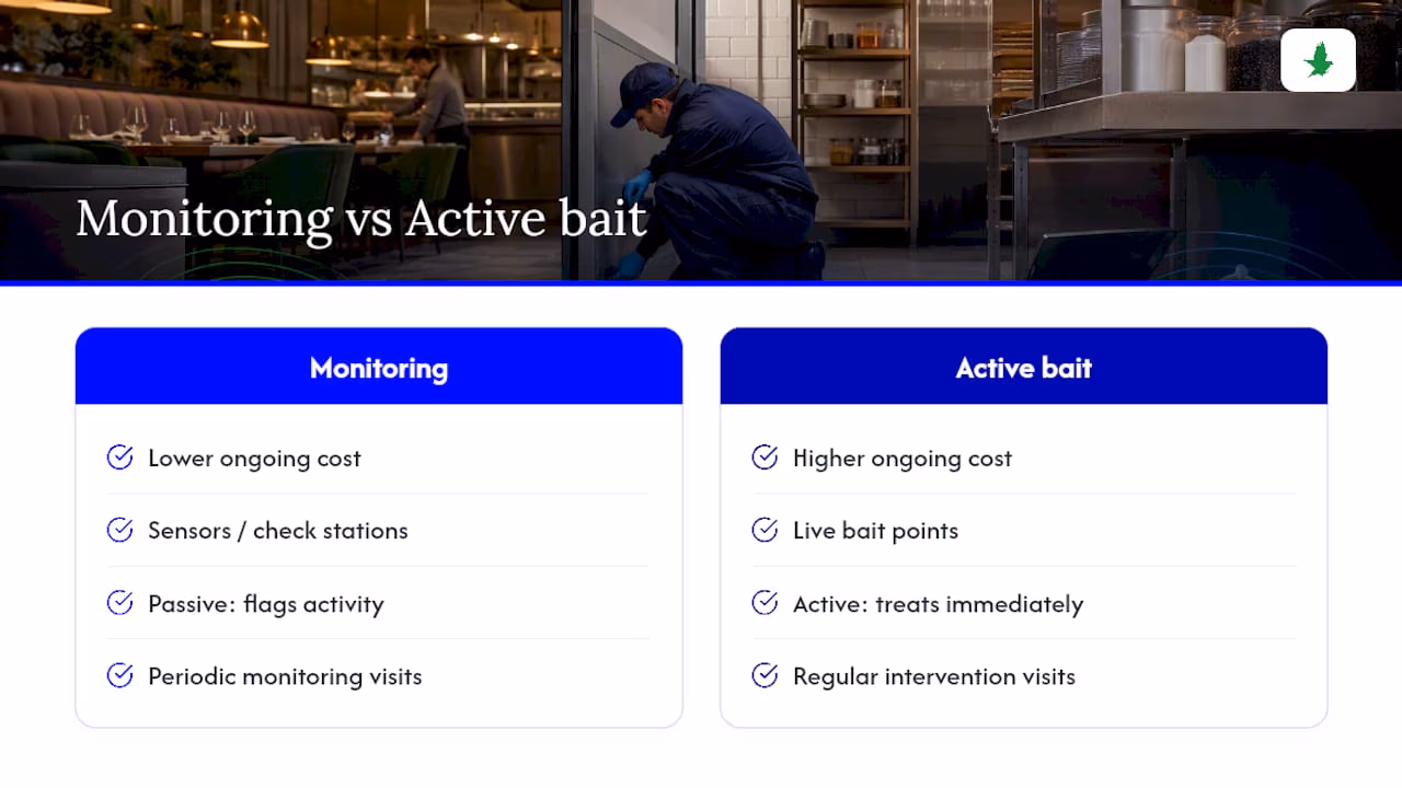 Monitoring-only versus active-bait restaurant programmes